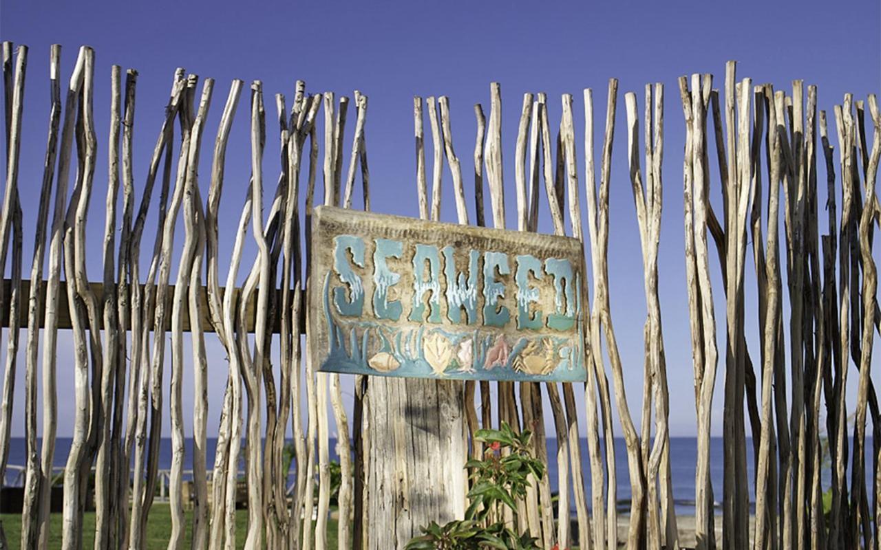 Jakes Hotel Treasure Beach Eksteriør billede